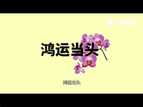 蝴蝶蘭寓意|【蝴蝶蘭花語】揭露蝴蝶蘭的優雅氣質：花語與象徵意。